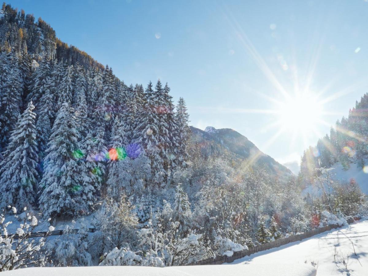Wildbach Apartments Neustift im Stubaital Exterior foto